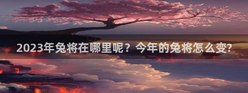 721cc赢彩网