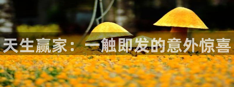 859cc赢彩吧开奖彩