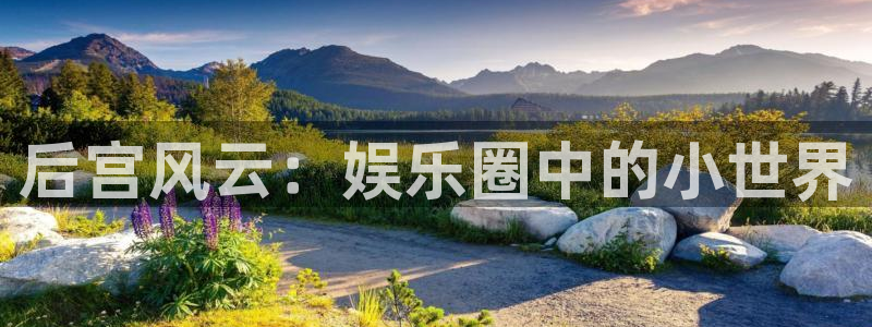 旺角彩二四六天空彩赢彩