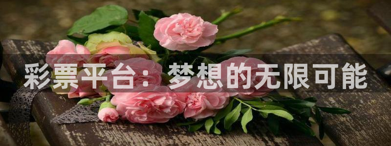 852cc赢彩免费资料大全