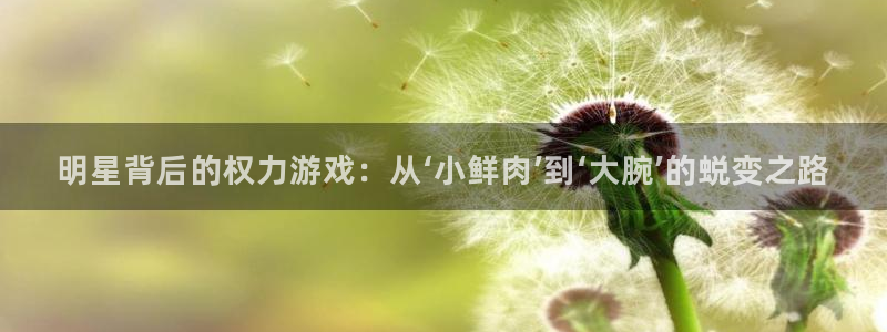 赢彩