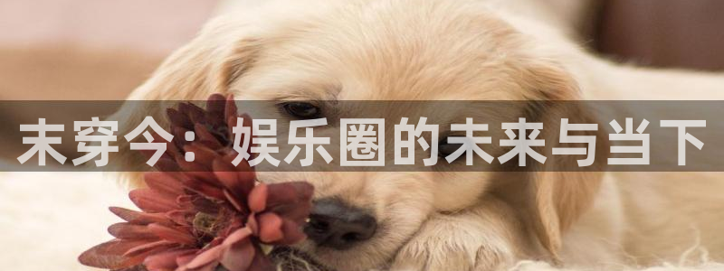 125345赢彩天 omn