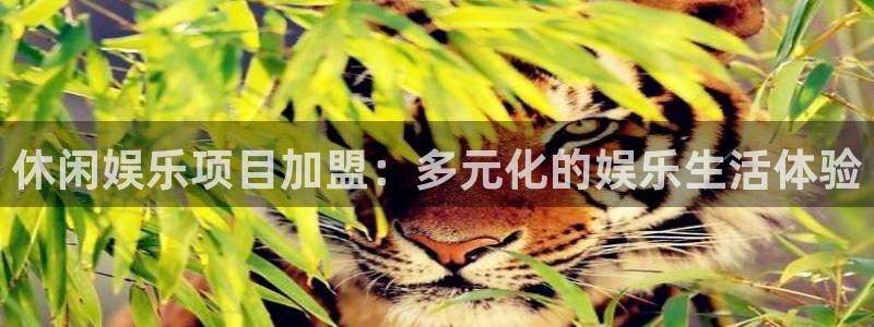 赢彩网址：休闲娱乐项目加盟：多元化的娱乐生活体验