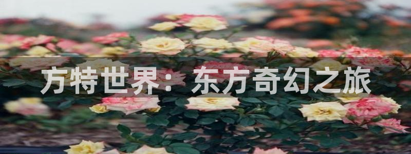 东莞市赢彩五金机电有限公司?：方特世界：东方奇幻之旅