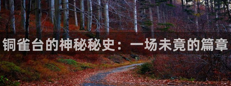 东莞市赢彩五金机电有限公司?：铜雀台的神秘秘史：一场未竟的篇章