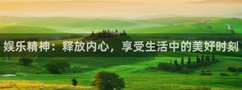 赢彩软件：娱乐精神：释放内心，享受生活中的美好时刻