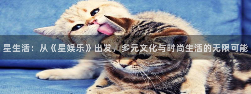 二四六天空彩选好资料赢彩：星生活：从《星娱乐》出发，多元文化与时尚生活的无限可能