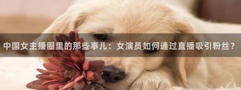 赢彩艺术漆：中国女主播圈里的那些事儿：女演员如何通过直播吸引粉丝？