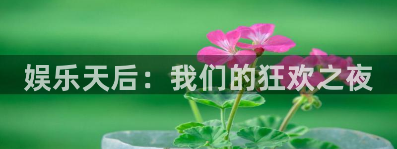 赢彩手机端：娱乐天后：我们的狂欢之夜