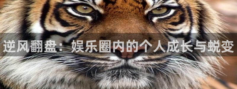赢彩吧859cc赢彩：逆风翻盘：娱乐圈内的个人成长与蜕变