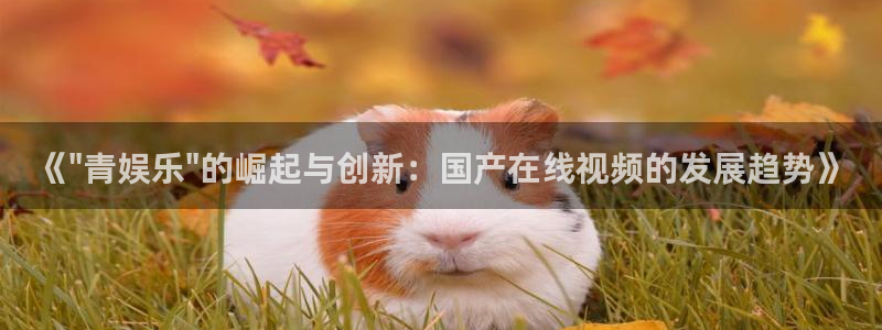 赢彩3d软件：《\