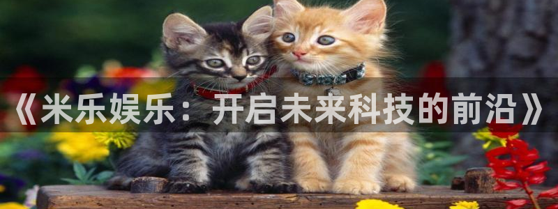 125345赢彩天 omn：《米乐娱乐：开启未来科技的前沿》