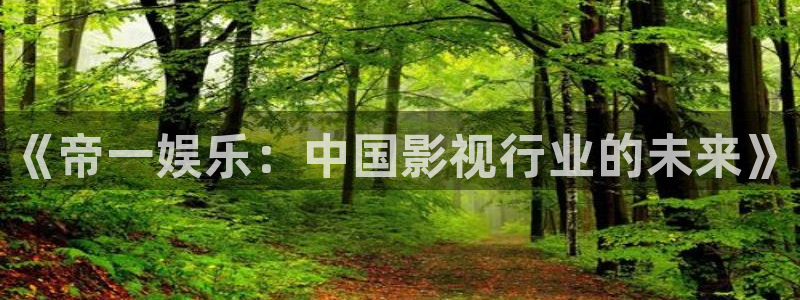 赢彩吧859cc赢彩吧：《帝一娱乐：中国影视行业的未来》