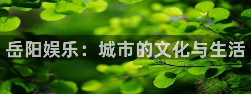 赢彩国际app：岳阳娱乐：城市的文化与生活