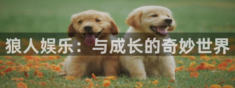 澳门赢彩yc49me：狼人娱乐：与成长的奇妙世界