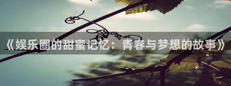 赢彩网：《娱乐圈的甜蜜记忆：青春与梦想的故事》